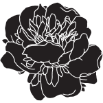 ABSTRACT FLOWER CHALK TRANSFER